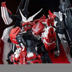Gundam Astray Turn Red (P-Bandai) (MG - 1/100) 8 Gundam