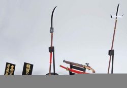 Shin Musha Gundam Sengoku No Jin (MG - 1/100) 8 Gundam