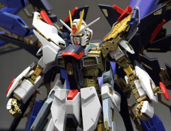 Strike Freedom Gundam (PG - 1/60) 7 Gundam