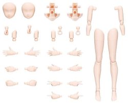 Option Body Parts Arm Parts & Leg Parts Color B - 30MS 2 Gundam